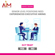 senior level recruitment consultants in delhi